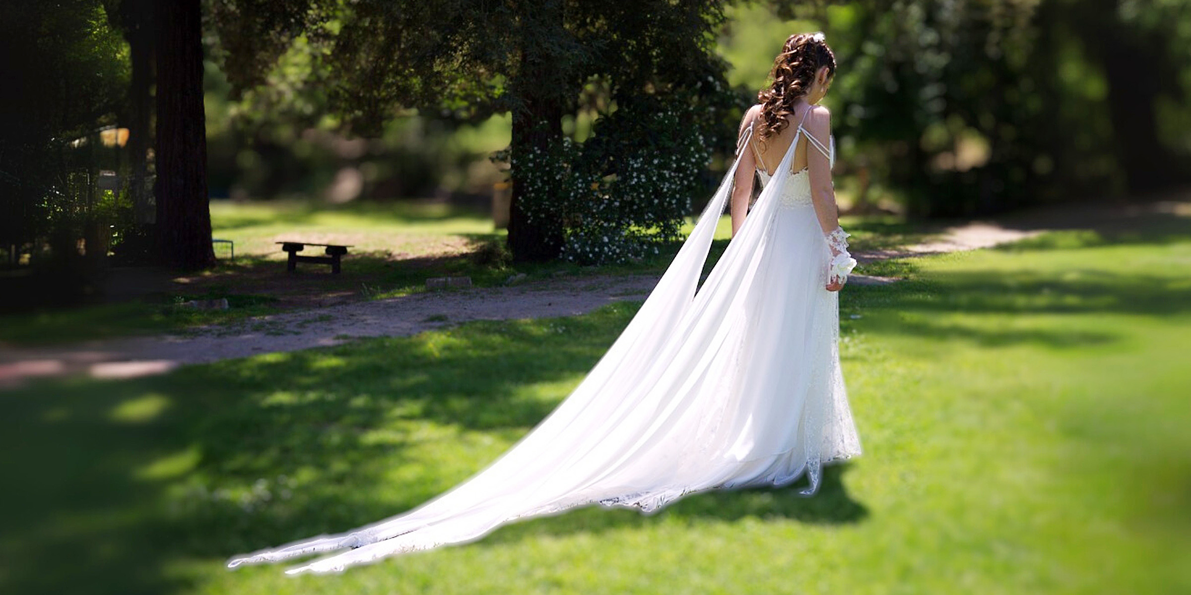 Backshot of a beautiful bride | Source: Flickr