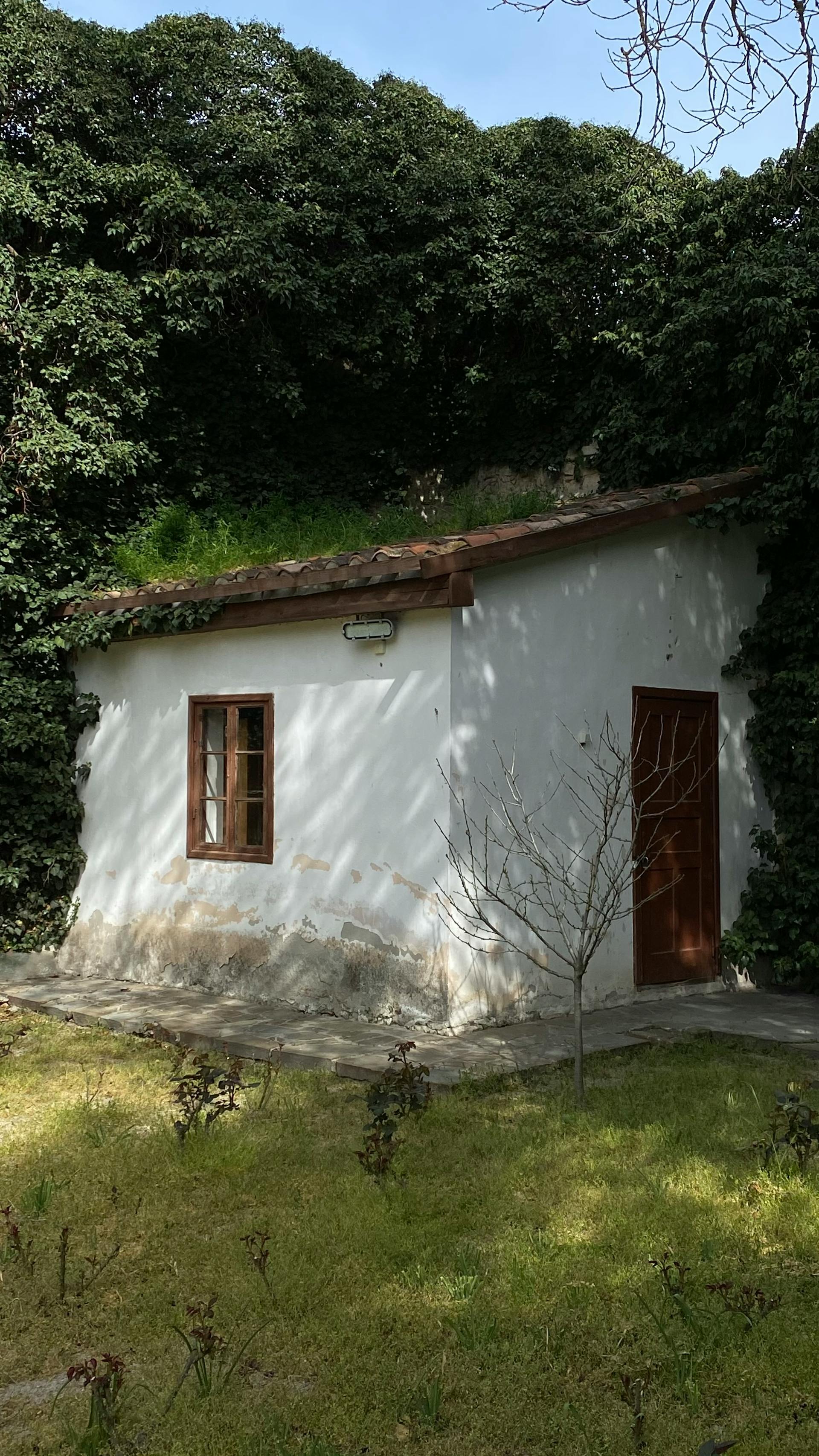 A house | Source: Pexels