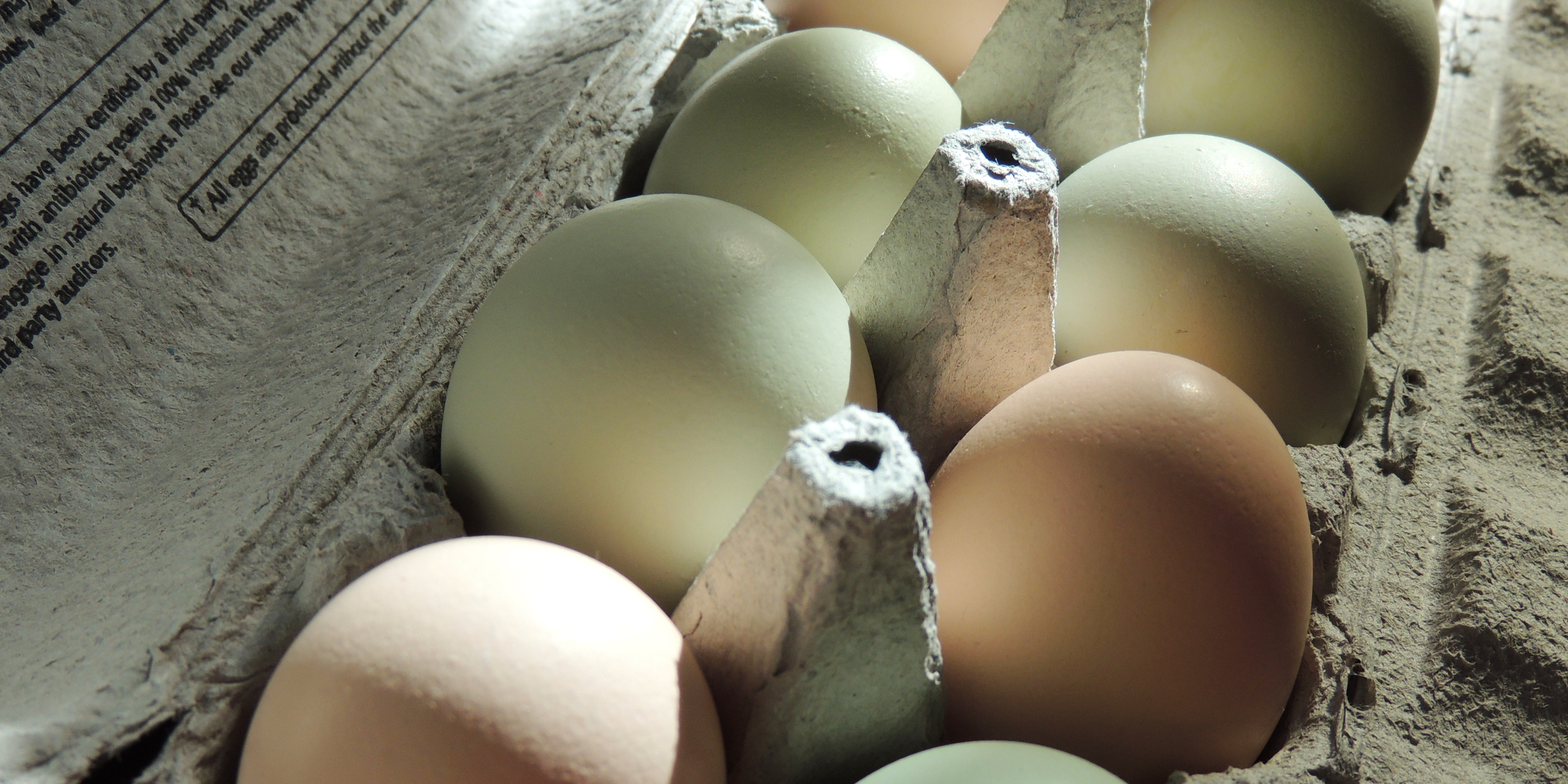 Eggs in a cardboard carton | Source: Flickr(Public Domain) by Nutrition, Food Safety & Health