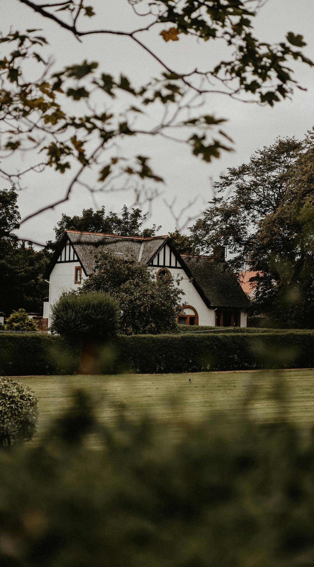 A house surrounded by a hedge | Source: Pexels