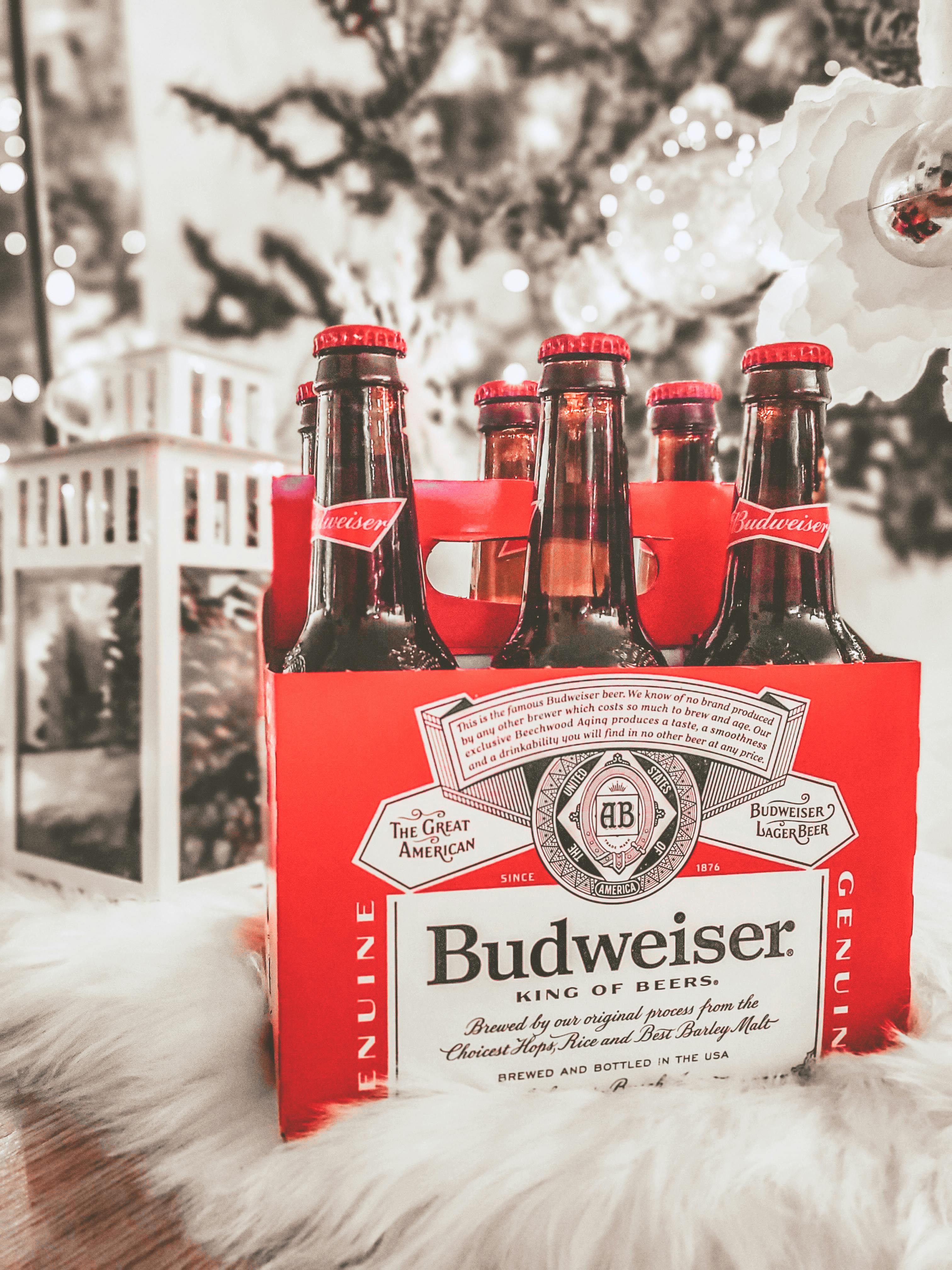 A six-pack of beer | Source: Pexels