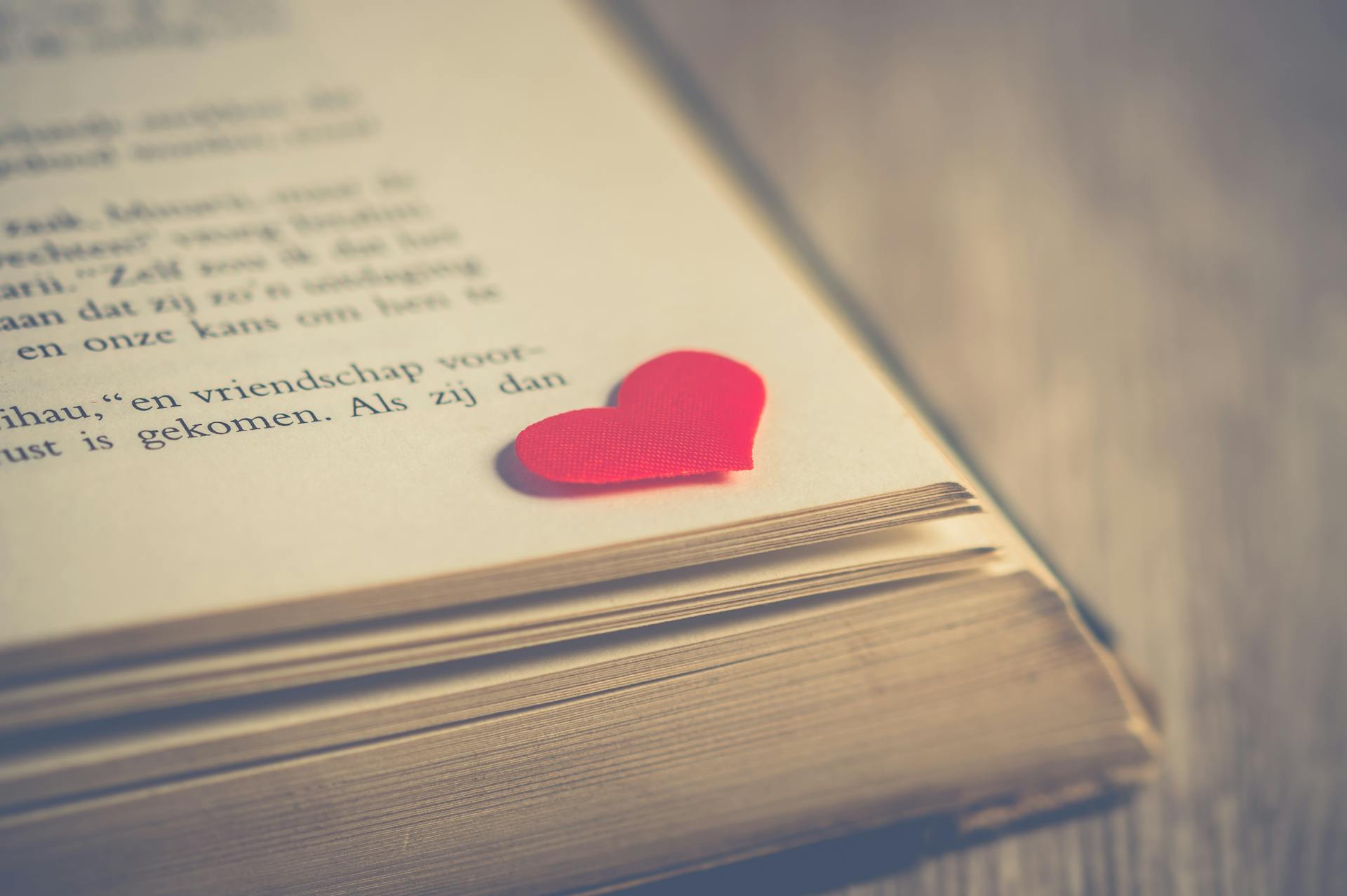 A close-up shot of a novel | Source: Pexels