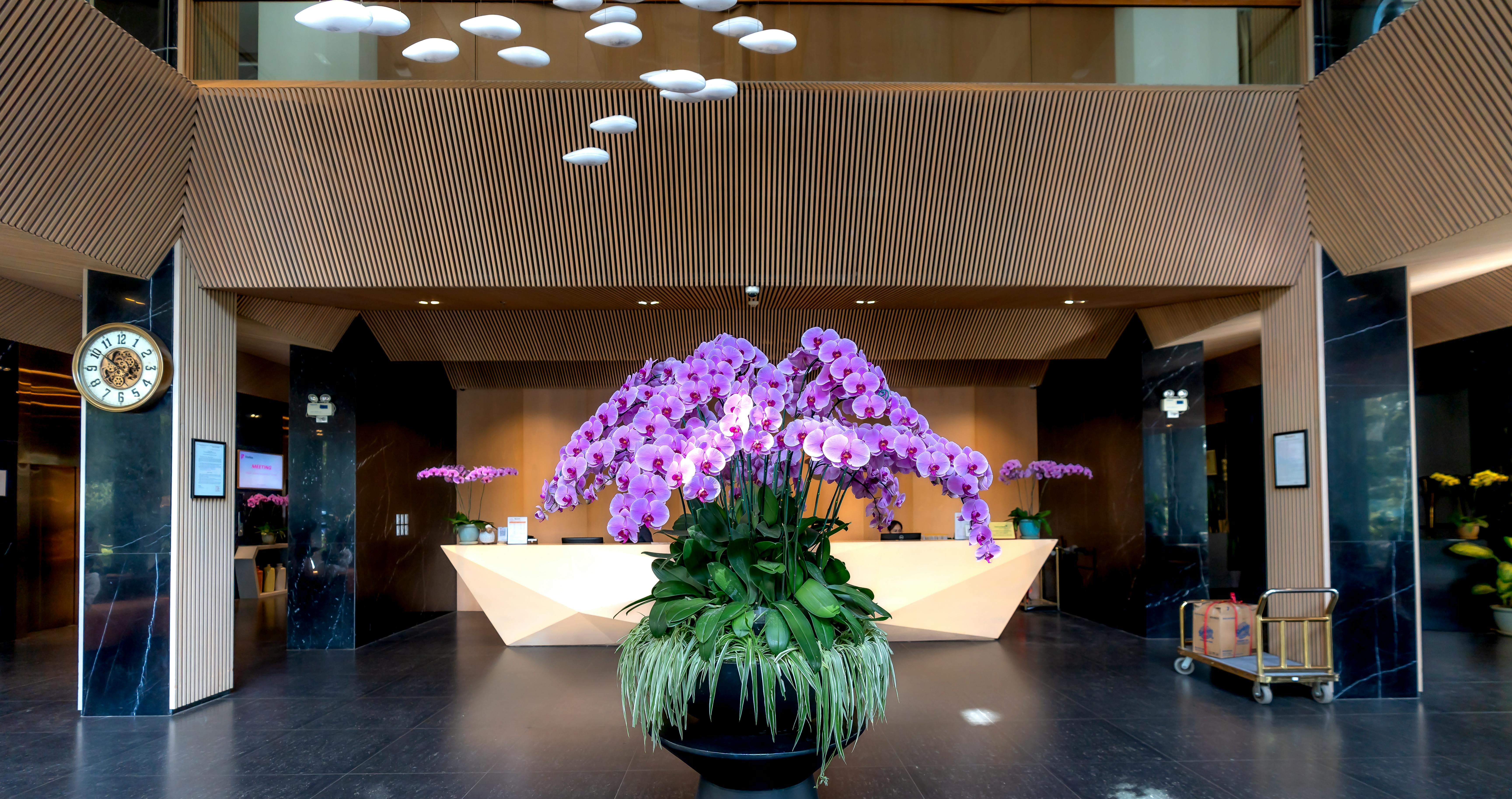 A hotel lobby | Source: Pexels