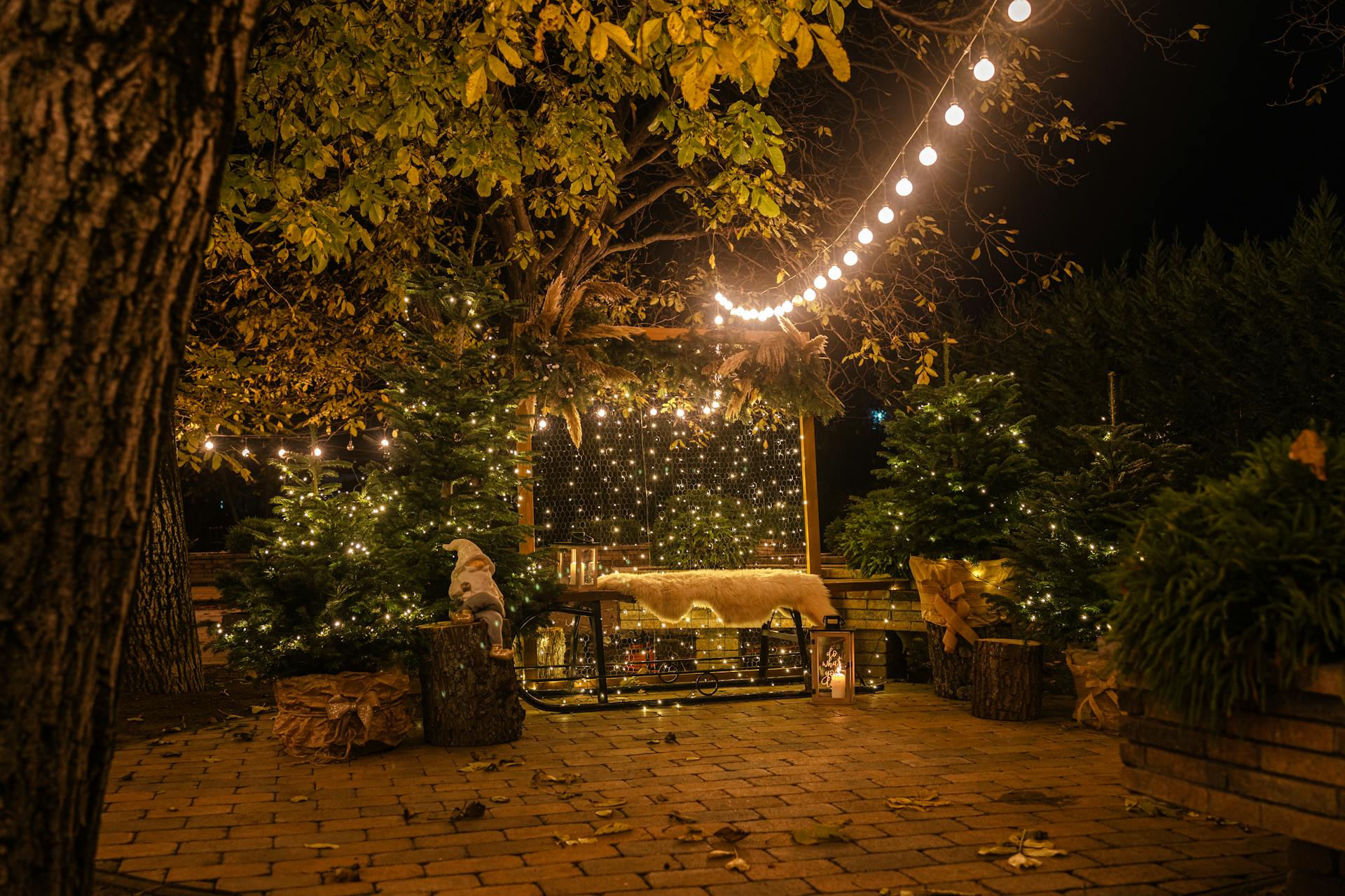 A patio with Christmas lights | Source: Pexels