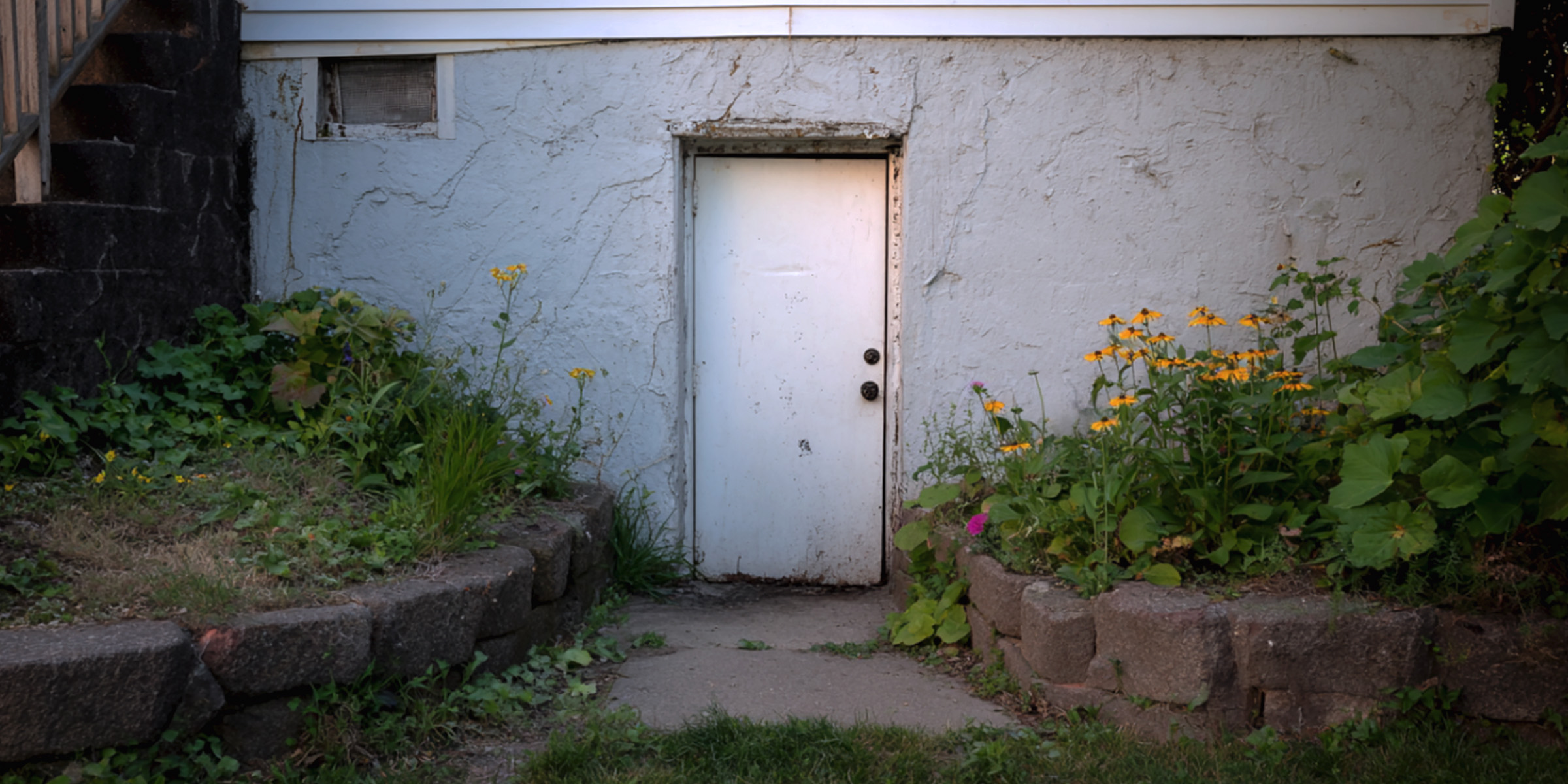The exterior entrance to a home basement | Source: The Celebritist