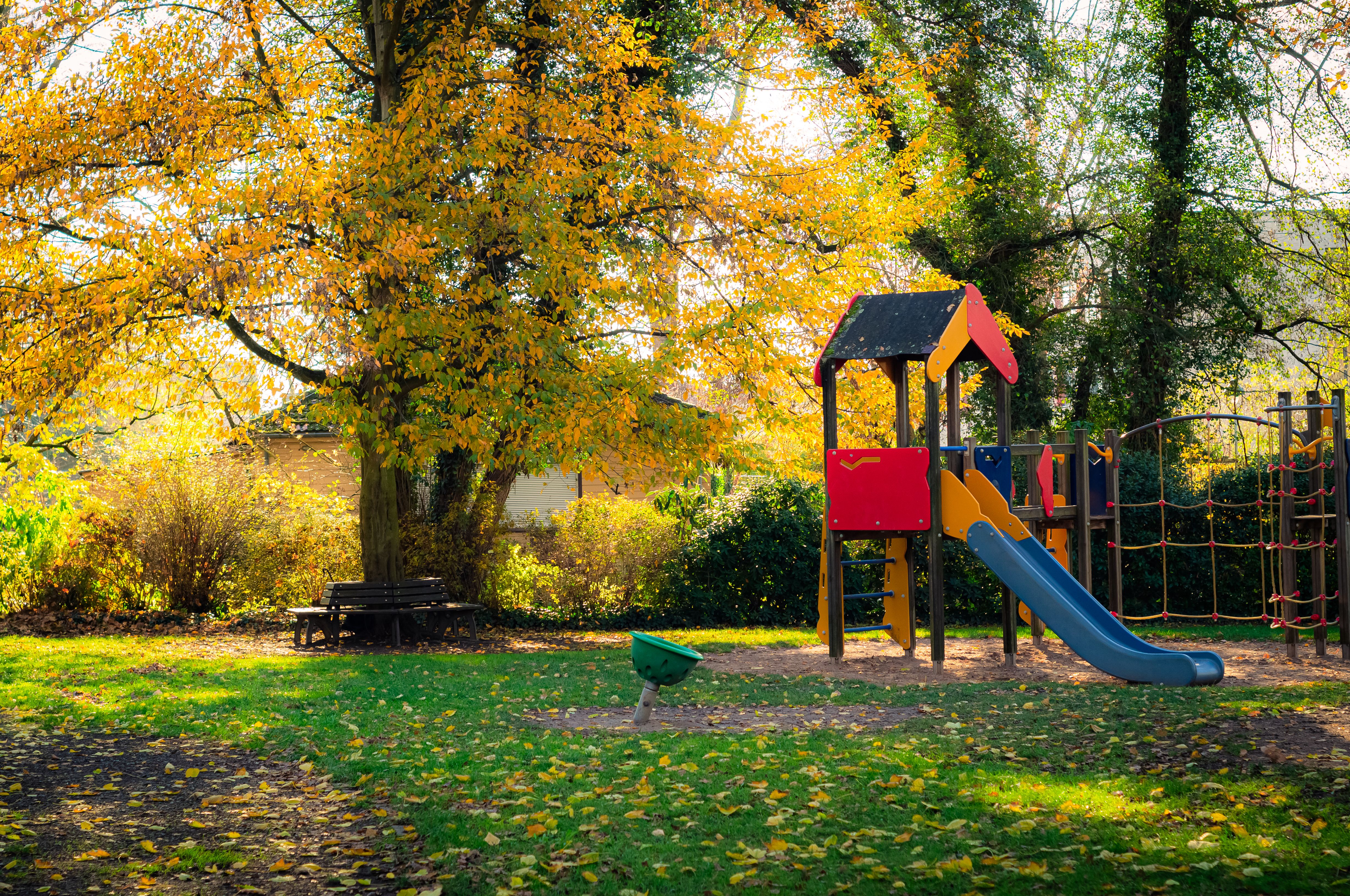 A playground with a fall tree | Source: Pexels