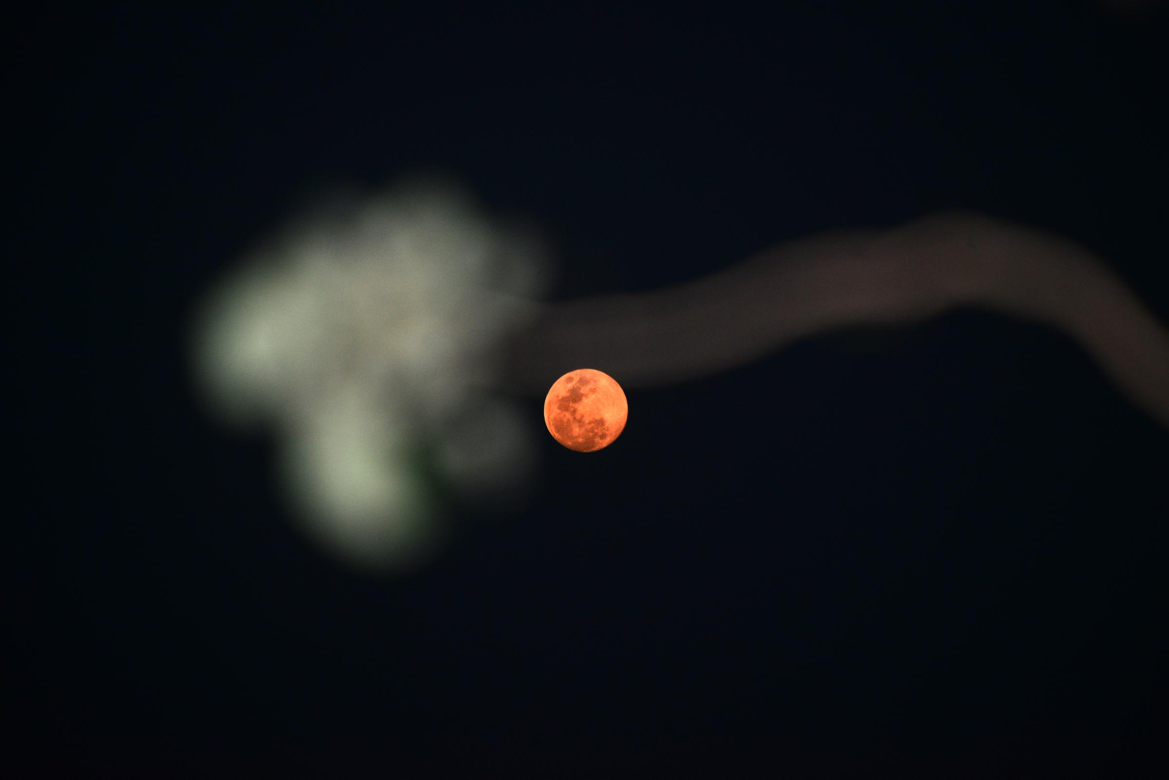 A full moon, called the Snow Moon, rises in Siliguri, India, on February 11, 2025 | Source: Getty Images